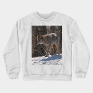 Coyote Crewneck Sweatshirt